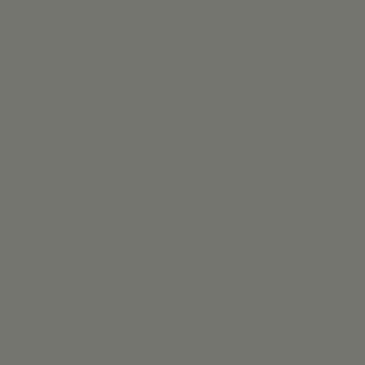 Gris souris -