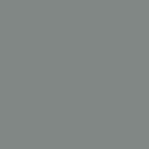 ral-2400-gris-texture.jpg -