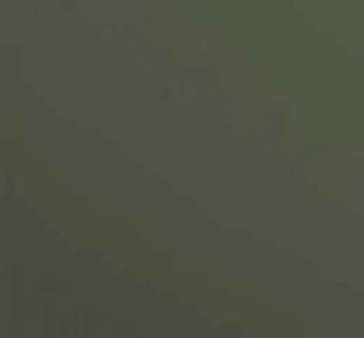 salgar-couleur-bosque.jpg -