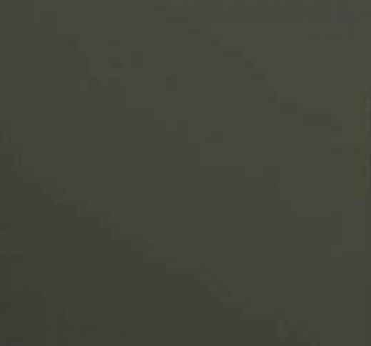 salgar-couleur-castano.jpg -