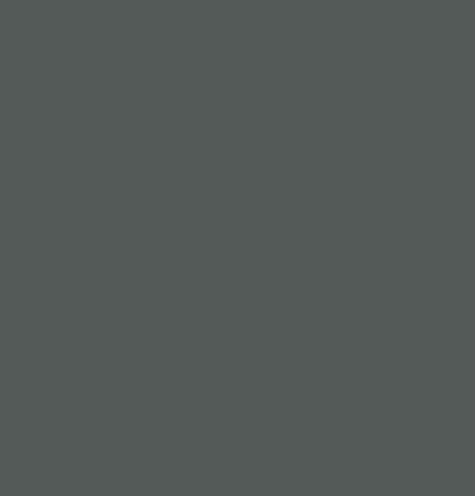 salgar-couleur-gris-brillant.jpg -