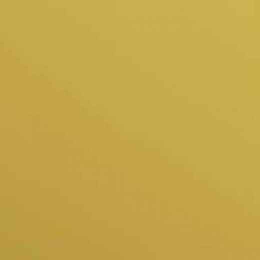 salgar-couleur-paja.jpg -