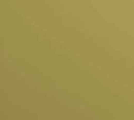 salgar-couleur-salvia.jpg -