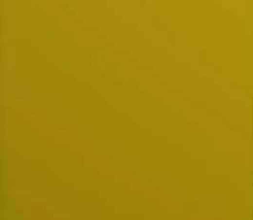 salgar-couleur-verde-acido.jpg -